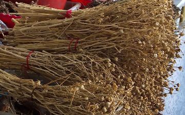 В Иркутск из Узбекистана пытались ввезти более килограмма «наркотического» исрыка 