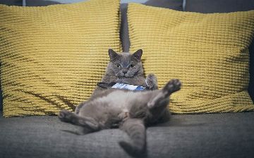 3 способа начать делать то, чего делать не хочется