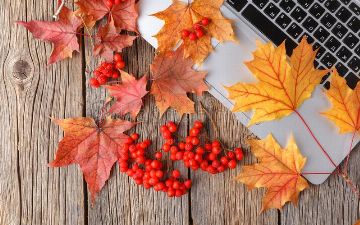 Как избежать осенней хандры на работе? Cоветы эндокринолога