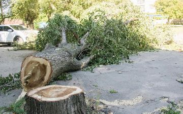 В Узбекистане создадут экополицию