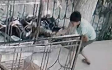 В Ташкенте малолетний садист зверски издевался над котенком - видео 16+