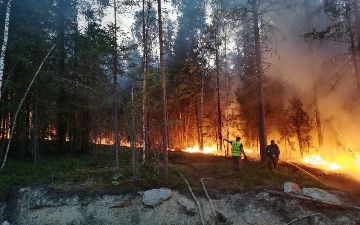 Шанс человечества спастись от глобальной катастрофы оценили в 1% — подробности
