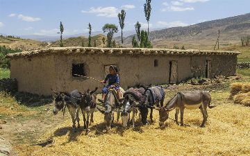Узбекистан получит свыше 270 млн долларов на развитие сельской местности
