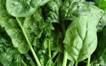 Какая зелень поможет предотвратить рак толстой кишки? – четвертое по распространенности онкологическое заболевание