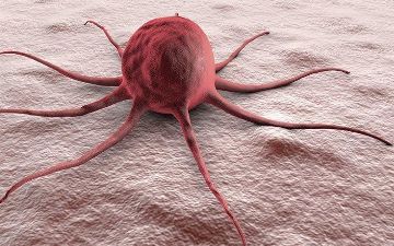 Некоторые часто употребляемые продукты вызывают рак — какие?