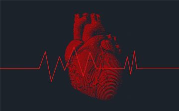 Стало ясно, какие пищевые привычки убивают здоровье сердца