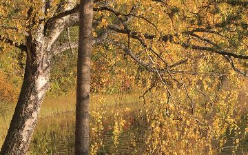 Врач рассказала, как нужно питаться осенью