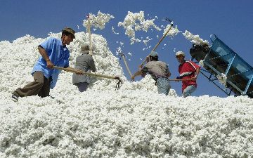 «Мы видели года, когда топталось достоинство человека», - Шавкат Мирзиёев напомнил о хлопковом деле и землетрясении в Кашкадарье 