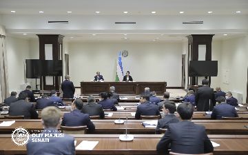 Сенаторы определились с датой очередного пленарного заседания