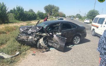 Почти 200 человек умерло в Кашкадарьинской области за последние девять месяцев из-за ДТП