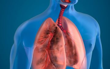 За прошедшие сутки в Узбекистане всего 5 человек вылечились от пневмонии — статистика