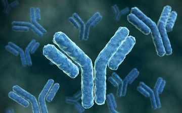  Нурмат Отабеков рассказал, нужно ли делать тест на антитела до вакцинации