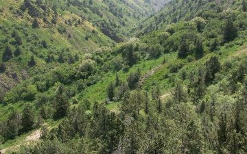 Узбекистан присоединился к Международному союзу охраны природы