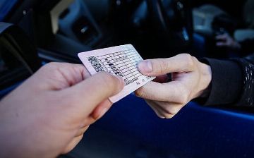 «Экзамен должен быть невероятно сложным и стоить дорого», – Никита Макаренко назвал способ снижения ДТП и смертности на дорогах