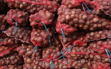 Госкомстат опубликовал актуальные цены на ходовые продукты питания в Узбекистане