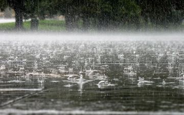 Синоптики рассказали, в каких регионах Узбекистана сегодня ожидаются дожди 