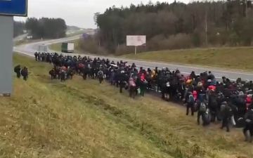 Две большие группы нелегальных мигрантов прорвались из Беларуси в Польшу