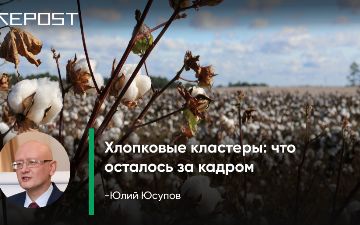 Хлопковые кластеры: что осталось за кадром