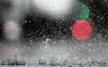 К концу недели в Узбекистане ожидаются дожди