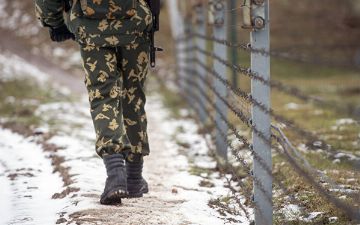 На узбекско-кыргызской границе были слышны выстрелы: кыргызстанцы хотели нелегально перевезти скот в Узбекистан