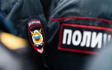 В Санкт-Петербурге задержали семерых узбекистанцев за участие в массовой драке 