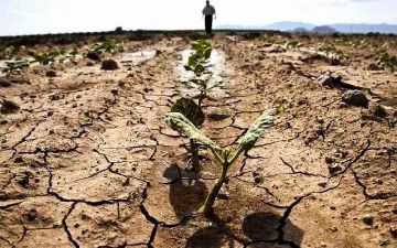 Минэкономразвития: стихийные бедствия в Узбекистане ежегодно затрагивают порядка 1,4 млн граждан и наносят ущерб почти в 3 млрд долларов