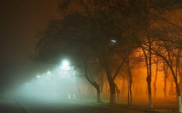 Узбекистанцев ожидают туманные выходные - прогноз погоды
