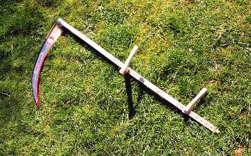 Двое жителей Бухарской области не поделили дерево возле дома: в итоге одного из них убили косой