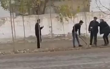 Несколько чиновников и сотрудников махалли уволили за инсценировку посадки саженцев в Наманганской области - видео