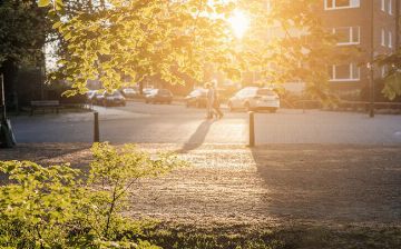 Зима откладывается: узбекистанцы столкнутся с аномально жаркой погодой