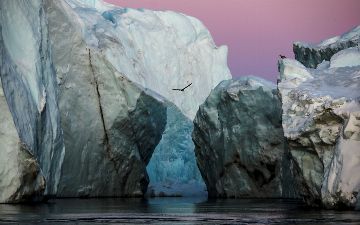 Reuters показала главные фото 2021 года: некоторые из них шокирующие