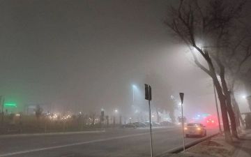 Туманно, но без осадков: синоптики рассказали о погоде в Узбекистане на день Конституции