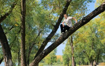 Во избежание прививки от «короны» мужчина забрался на дерево и отказался спускаться