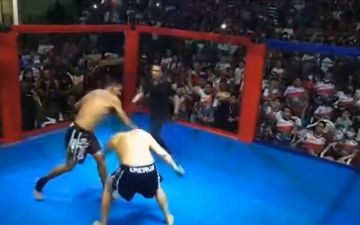 Два политика в Бразилии подрались по правилам ММА из-за аквапарка - видео<br>