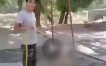 Собачьи бои и убийства: в узбекском сегменте Telegram стали распространяться шокирующие видеоролики с пытками животных