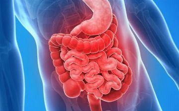 Диетолог рассказала, какие продукты помогут сохранить здоровье кишечника