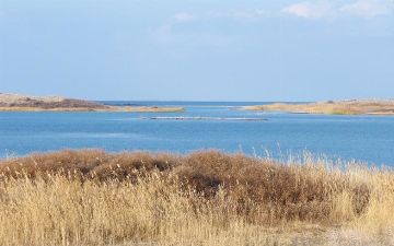 Айдар-Арнасайскую систему озер может ожидать такая же судьба, как и Арала