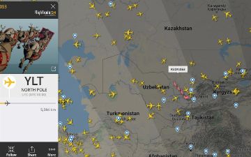 Над Узбекистаном замечена оленья упряжка самого настоящего Санты 