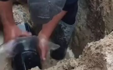 Сотрудник Джизакского водоснабжающего предприятия устранил протечку в трубе с помощью скотча - видео
