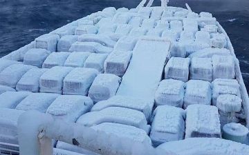 В Россию привезли японские иномарки, покрывшиеся льдом в 10 сантиметров – видео