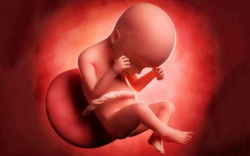 Может ли плод плакать в утробе матери