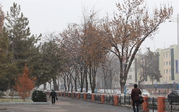 Утвержден бюджет Ташкента на 2022 год