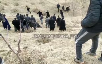 В Сурхандарье не поделившие землю жители устроили массовую драку