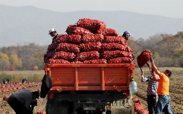 Россия нуждается в трудовых мигрантах из Узбекистана