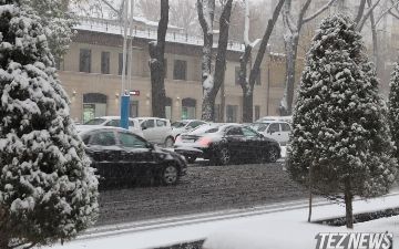 Президент анонсировал систему штрафных баллов для водителей