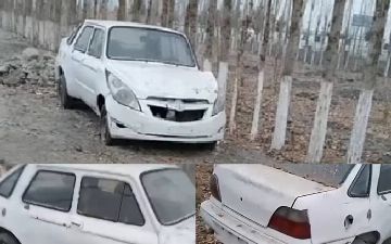 Автомобильный «котопёс»: узбекистанец показал машину, к которой присоединили перед «Спарка» и заднюю часть «Нексии» 