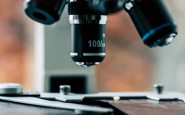 У стелс-омикрона нашли новую мутацию, которая вызывает воспаления в клетках