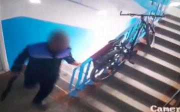 Житель Навои застрелил собаку в подъезде на глазах у детей — видео