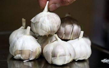 Чеснок защищает от рака — новое исследование ученых