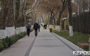 Узбекистан значительно снизил свои позиции в Индексе экономической свободы 